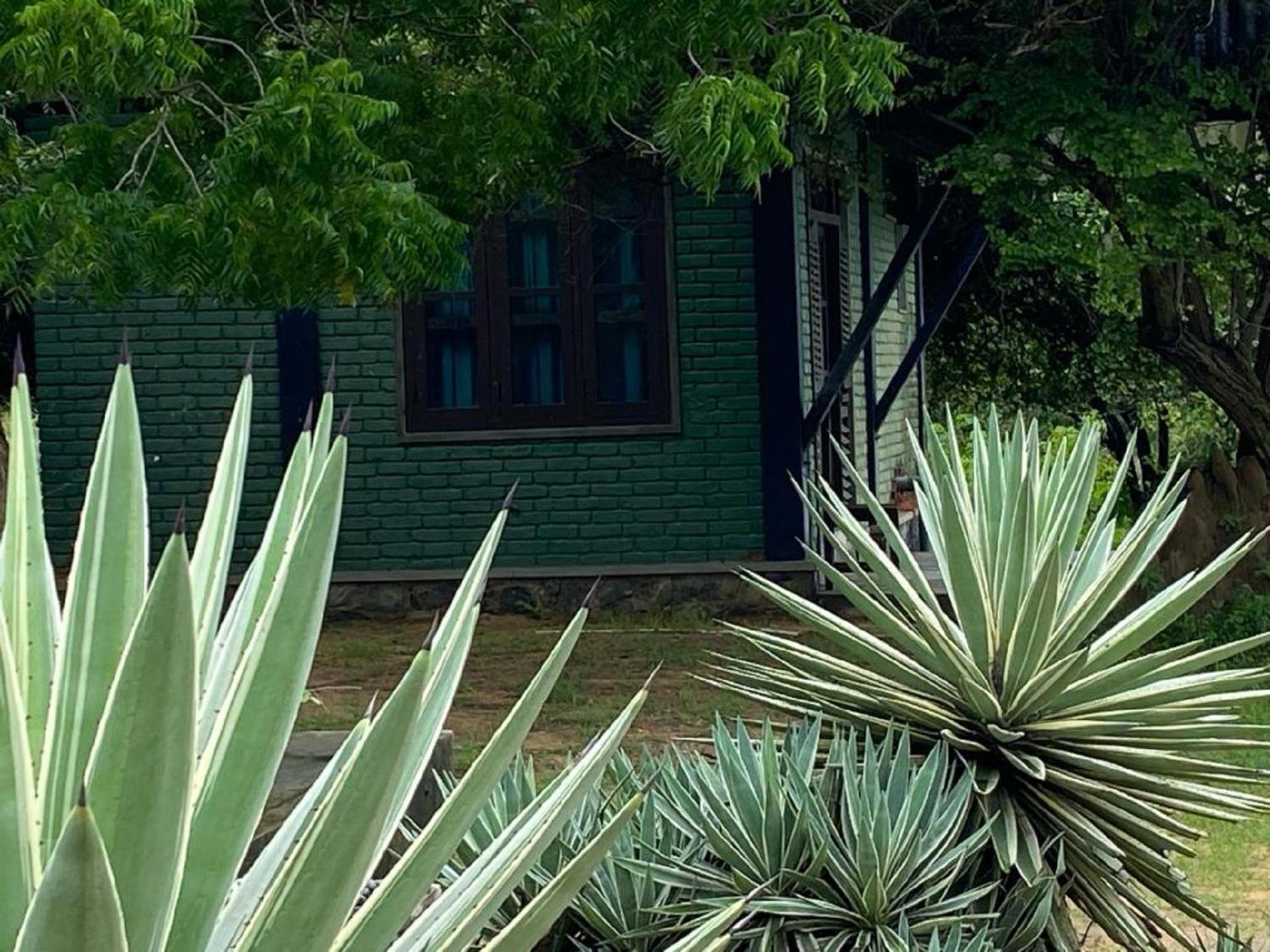 Yala Ying Yang Hostel & Camping Exterior foto